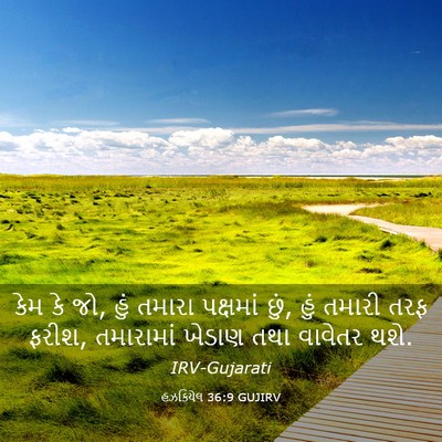 Picture 03 - હઝકિયેલ 36:9 GUJIRV - કેમ કે જો, હું - Bible Verse Picture