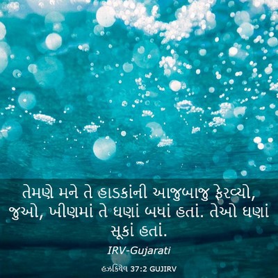 Picture 03 - હઝકિયેલ 37:2 GUJIRV - તેમણે મને તે - Bible Verse Picture