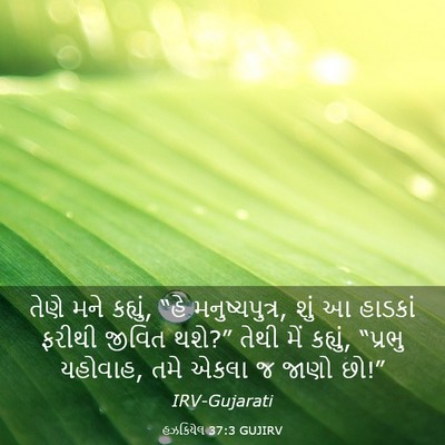 Picture 03 - હઝકિયેલ 37:3 GUJIRV - તેણે મને કહ્યું, - Bible Verse Picture