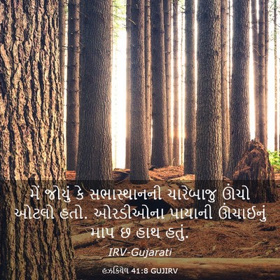 Picture 03 - હઝકિયેલ 41:8 GUJIRV - મેં જોયું કે - Bible Verse Picture
