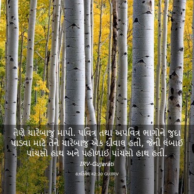 Picture 03 - હઝકિયેલ 42:20 GUJIRV - તેણે ચારેબાજુ - Bible Verse Picture