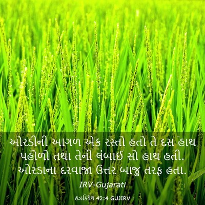 Picture 03 - હઝકિયેલ 42:4 GUJIRV - ઓરડીની આગળ એક - Bible Verse Picture