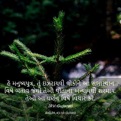 Picture 03 - હઝકિયેલ 43:10 GUJIRV - હે મનુષ્યપુત્ર, - Bible Verse Picture
