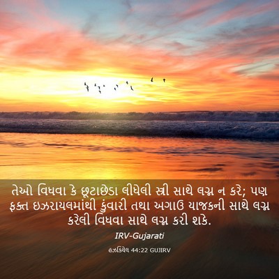 Picture 03 - હઝકિયેલ 44:22 GUJIRV - તેઓ વિધવા કે - Bible Verse Picture