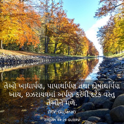 Picture 03 - હઝકિયેલ 44:29 GUJIRV - તેઓ ખાદ્યાર્પણ, - Bible Verse Picture