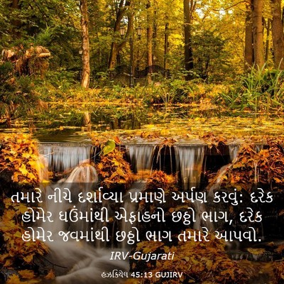 Picture 03 - હઝકિયેલ 45:13 GUJIRV - તમારે નીચે - Bible Verse Picture