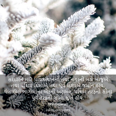 Picture 03 - હઝકિયેલ 45:7 GUJIRV - સરદારને માટે - Bible Verse Picture