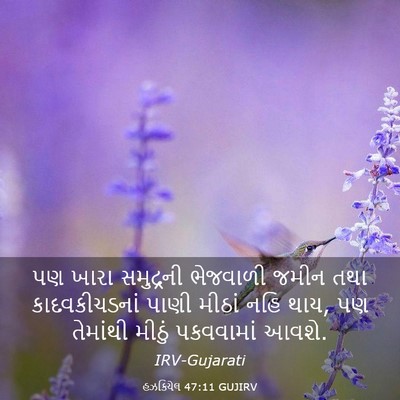 Picture 03 - હઝકિયેલ 47:11 GUJIRV - પણ ખારા સમુદ્રની - Bible Verse Picture