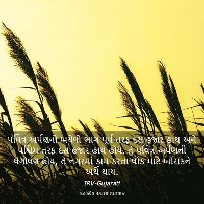 Picture 03 - હઝકિયેલ 48:18 GUJIRV - પવિત્ર અર્પણનો - Bible Verse Picture