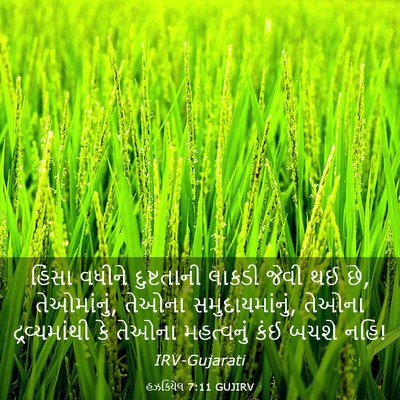 Picture 03 - હઝકિયેલ 7:11 GUJIRV - હિંસા વધીને - Bible Verse Picture