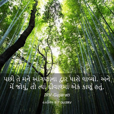 Picture 03 - હઝકિયેલ 8:7 GUJIRV - પછી તે મને આંગણાના - Bible Verse Picture
