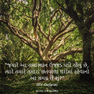 Picture 03 - હાગ્ગાય 1:4 GUJIRV - “જયારે આ સભાસ્થાન - Bible Verse Picture