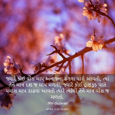 Picture 03 - હાગ્ગાય 2:16 GUJIRV - જ્યારે કોઈ વીસ માપ - Bible Verse Picture