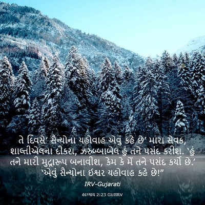 Picture 03 - હાગ્ગાય 2:23 GUJIRV - તે દિવસે’ - Bible Verse Picture