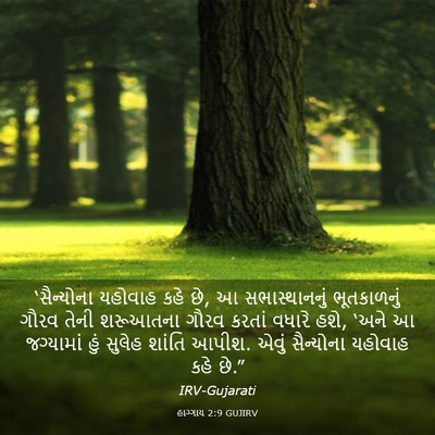 Picture 03 - હાગ્ગાય 2:9 GUJIRV - ‘સૈન્યોના યહોવાહ - Bible Verse Picture