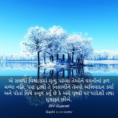 Picture 03 - હિબ્રૂઓને 11:13 GUJIRV - એ સઘળાં - Bible Verse Picture