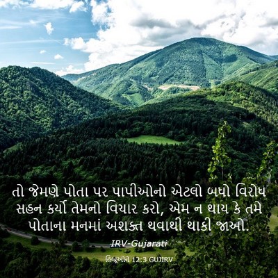 Picture 03 - હિબ્રૂઓને 12:3 GUJIRV - તો જેમણે પોતા પર - Bible Verse Picture