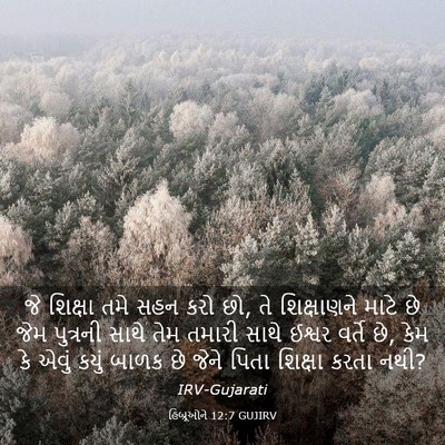 Picture 03 - હિબ્રૂઓને 12:7 GUJIRV - જે શિક્ષા તમે સહન - Bible Verse Picture