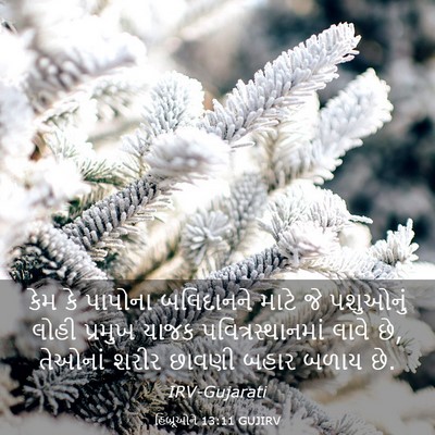 Picture 03 - હિબ્રૂઓને 13:11 GUJIRV - કેમ કે પાપોના - Bible Verse Picture