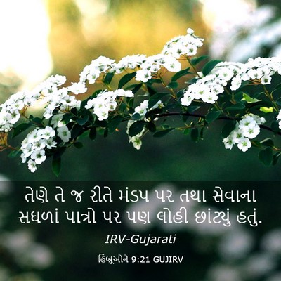 Picture 03 - હિબ્રૂઓને 9:21 GUJIRV - તેણે તે જ રીતે મંડપ - Bible Verse Picture
