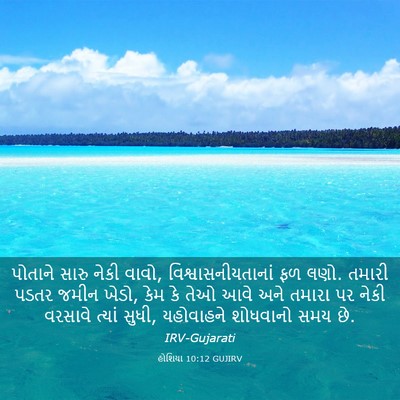 Picture 03 - હોશિયા 10:12 GUJIRV - પોતાને સારુ નેકી - Bible Verse Picture