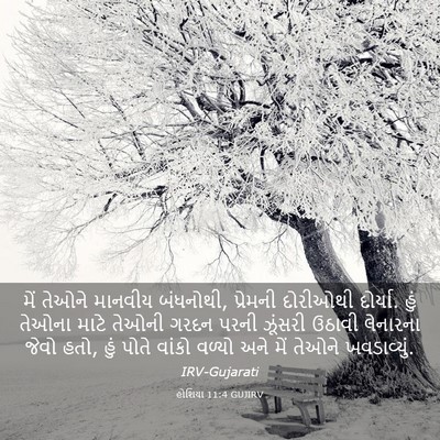 Picture 03 - હોશિયા 11:4 GUJIRV - મેં તેઓને માનવીય - Bible Verse Picture