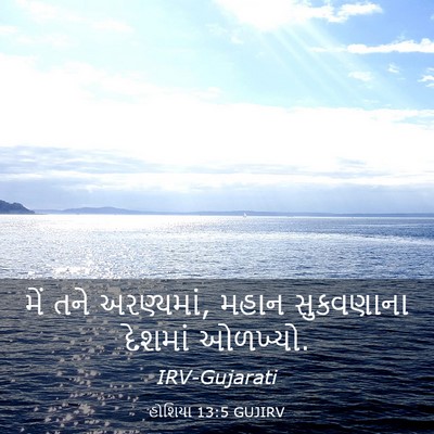 Picture 03 - હોશિયા 13:5 GUJIRV - મેં તને અરણ્યમાં, - Bible Verse Picture