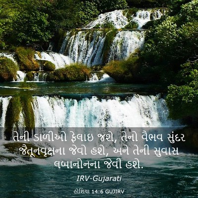 Picture 03 - હોશિયા 14:6 GUJIRV - તેની ડાળીઓ ફેલાઇ - Bible Verse Picture