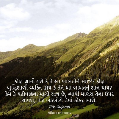 Picture 03 - હોશિયા 14:9 GUJIRV - કોણ જ્ઞાની હશે કે - Bible Verse Picture