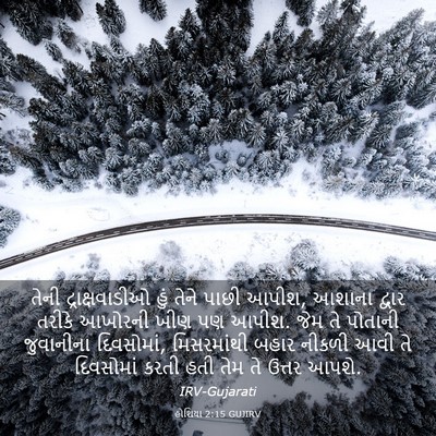 Picture 03 - હોશિયા 2:15 GUJIRV - તેની દ્રાક્ષવાડીઓ - Bible Verse Picture