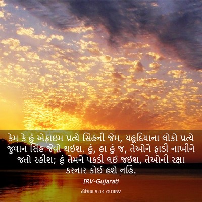 Picture 03 - હોશિયા 5:14 GUJIRV - કેમ કે હું એફ્રાઇમ - Bible Verse Picture