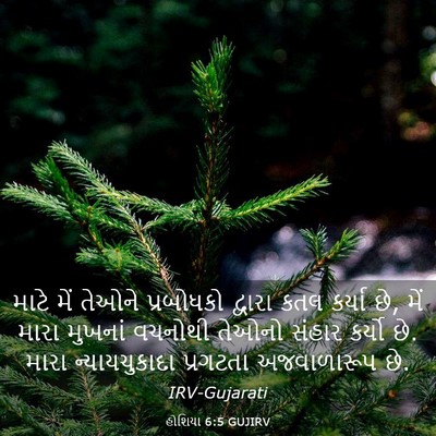 Picture 03 - હોશિયા 6:5 GUJIRV - માટે મેં તેઓને - Bible Verse Picture