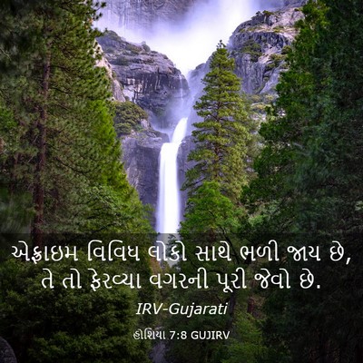 Picture 03 - હોશિયા 7:8 GUJIRV - એફ્રાઇમ વિવિધ - Bible Verse Picture