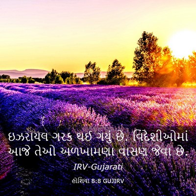 Picture 03 - હોશિયા 8:8 GUJIRV - ઇઝરાયલ ગરક થઈ ગયું - Bible Verse Picture