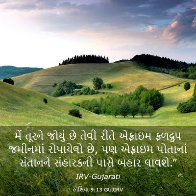 Picture 03 - હોશિયા 9:13 GUJIRV - મેં તૂરને જોયું છે - Bible Verse Picture