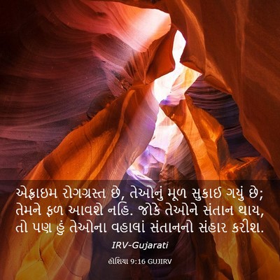 Picture 03 - હોશિયા 9:16 GUJIRV - એફ્રાઇમ રોગગ્રસ્ત - Bible Verse Picture