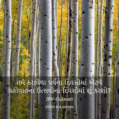 Picture 03 - હોશિયા 9:5 GUJIRV - તમે ઠરાવેલા - Bible Verse Picture