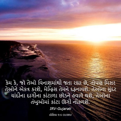 Picture 03 - હોશિયા 9:6 GUJIRV - કેમ કે, જો તેઓ - Bible Verse Picture
