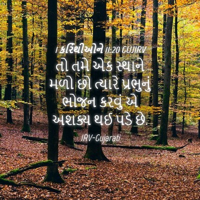 Picture 04 - 1 કરિંથીઓને 11:20 GUJIRV - તો તમે એક સ્થાને - Bible Verse Picture