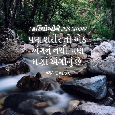 Picture 04 - 1 કરિંથીઓને 12:14 GUJIRV - પણ શરીર તો એક - Bible Verse Picture