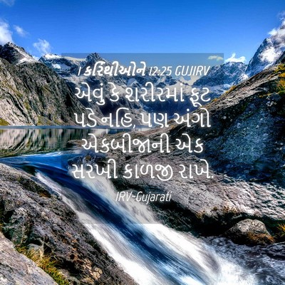 Picture 04 - 1 કરિંથીઓને 12:25 GUJIRV - એવું કે શરીરમાં - Bible Verse Picture