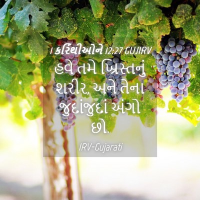 Picture 04 - 1 કરિંથીઓને 12:27 GUJIRV - હવે તમે - Bible Verse Picture