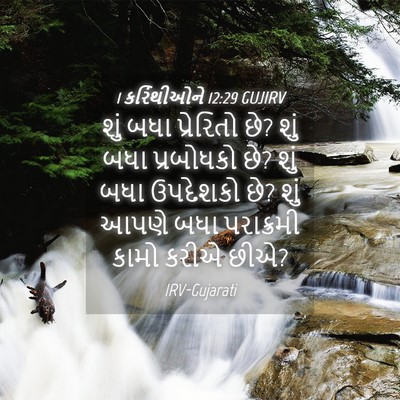 Picture 04 - 1 કરિંથીઓને 12:29 GUJIRV - શું બધા પ્રેરિતો - Bible Verse Picture