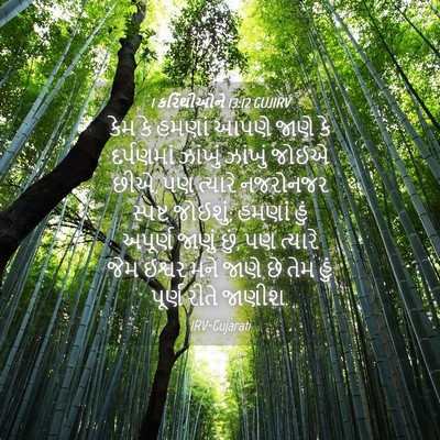 Picture 04 - 1 કરિંથીઓને 13:12 GUJIRV - કેમ કે હમણાં આપણે - Bible Verse Picture