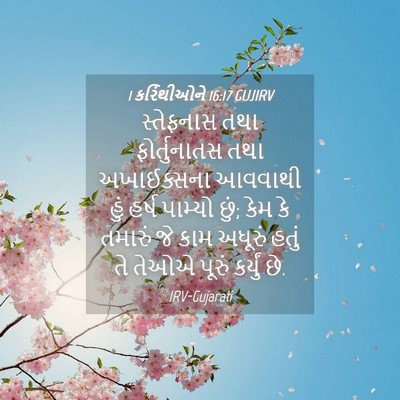 Picture 04 - 1 કરિંથીઓને 16:17 GUJIRV - સ્તેફનાસ તથા - Bible Verse Picture