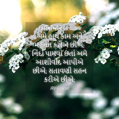 Picture 04 - 1 કરિંથીઓને 4:12 GUJIRV - અમે હાથે કામ અને - Bible Verse Picture