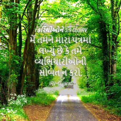 Picture 04 - 1 કરિંથીઓને 5:9 GUJIRV - મેં તમને મારા - Bible Verse Picture