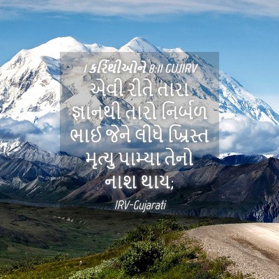 Picture 04 - 1 કરિંથીઓને 8:11 GUJIRV - એવી રીતે તારા - Bible Verse Picture