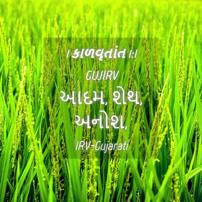 Picture 04 - 1 કાળવૃતાંત 1:1 GUJIRV - આદમ, શેથ, - Bible Verse Picture