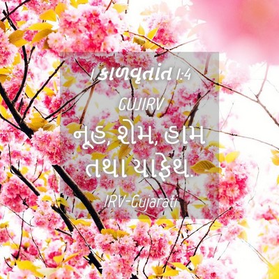 Picture 04 - 1 કાળવૃતાંત 1:4 GUJIRV - નૂહ, શેમ, હામ તથા - Bible Verse Picture